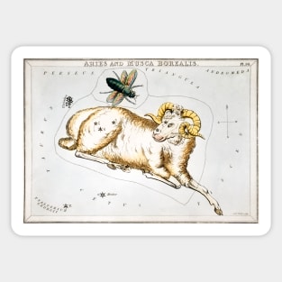 Aries and Musca Borealis by Sidney Hall (1831) Sticker